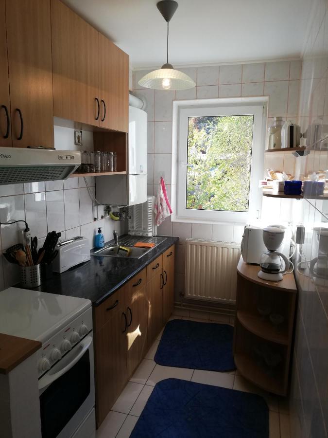 Apartament Langa Castan Leilighet Azuga Eksteriør bilde