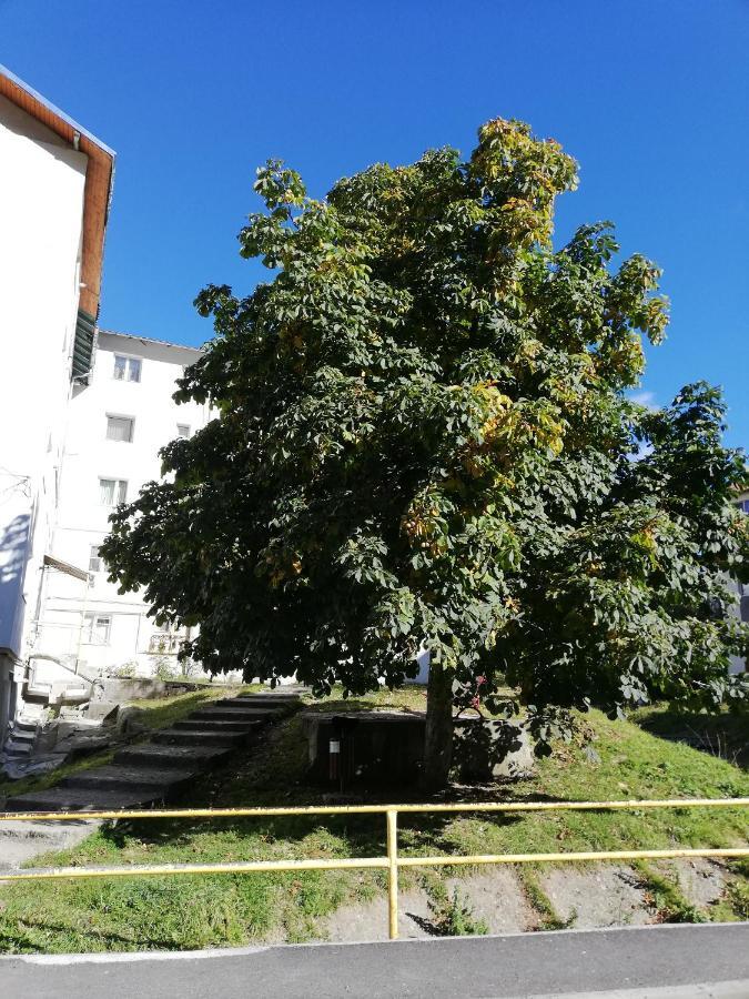 Apartament Langa Castan Leilighet Azuga Eksteriør bilde