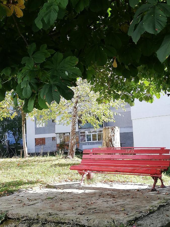 Apartament Langa Castan Leilighet Azuga Eksteriør bilde